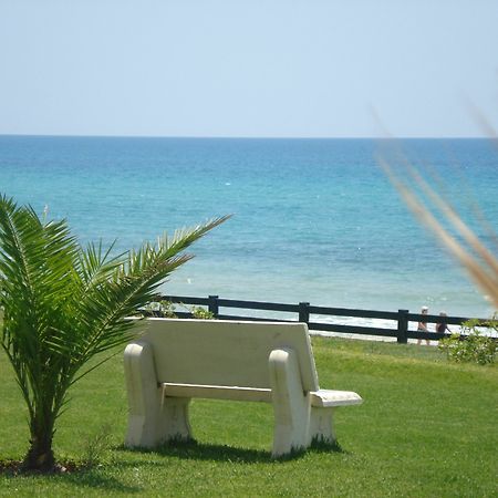 B&B Cote D'Azur Хамамет Екстериор снимка