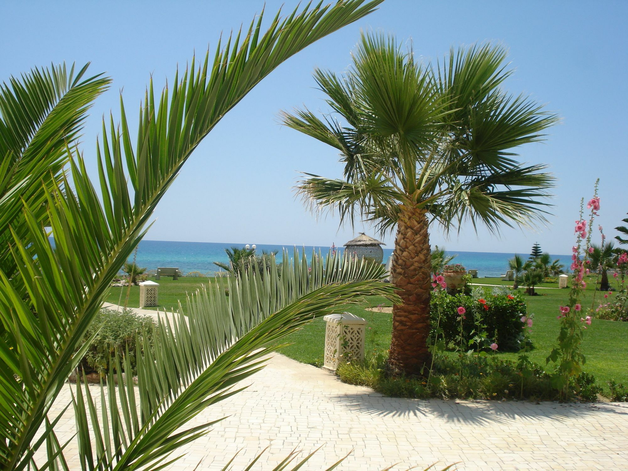 B&B Cote D'Azur Хамамет Екстериор снимка
